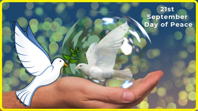 International Day of Peace: Know Why we Celebrate Peace Day on September 21st www.itifitter.com 